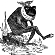 frog-with-toothache frog with toothache